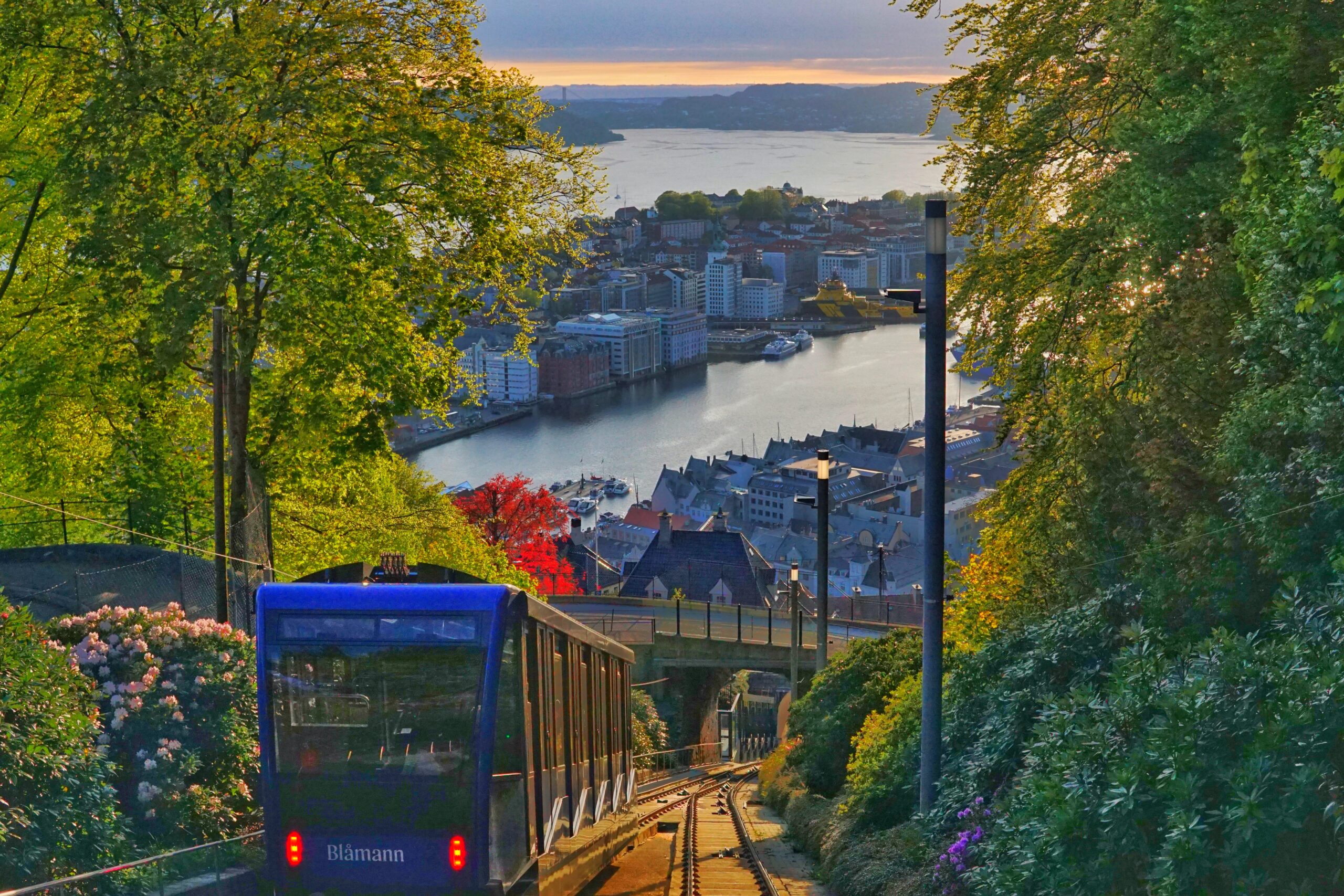 city break w bergen fiordy norwegii