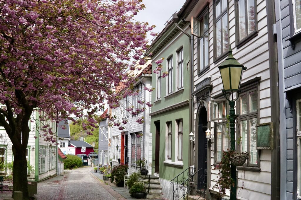 city break w bergen fiordy norwegii
